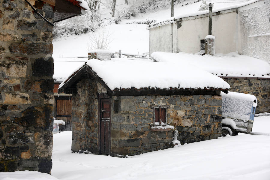 Las consencuencias de la borrasca 'Helena' en Asturias ha provocado una copiosa nevada en Pajares que unos han aprovechado para fotografiar y disfrutar pero otros han sufrido al volante