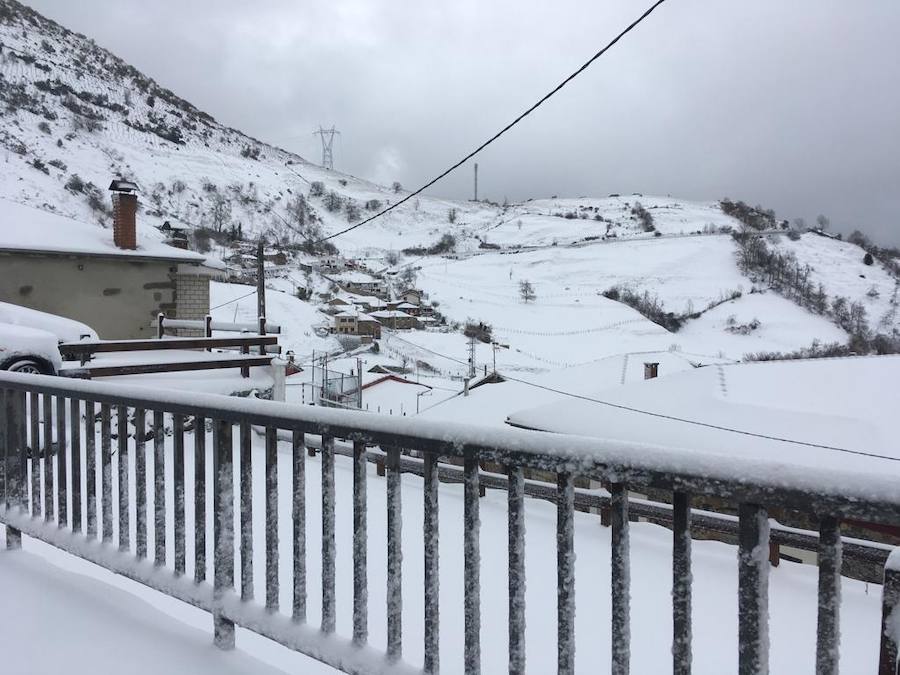 Las intensas nevadas que está dejando la borrasca 'Helena' a su paso por Asturias está complicando mucho la circulación por carretera, en especial, en los puertos de montaña. De hecho, se ha llegado a restringir el paso de camiones por Pajares y el Huerna y varios altos se han cerrado a todo tipo de vehículos. La nieve ha llegado incluso a la capital asturiana, que ha amanecido bajo un manto blanco. 