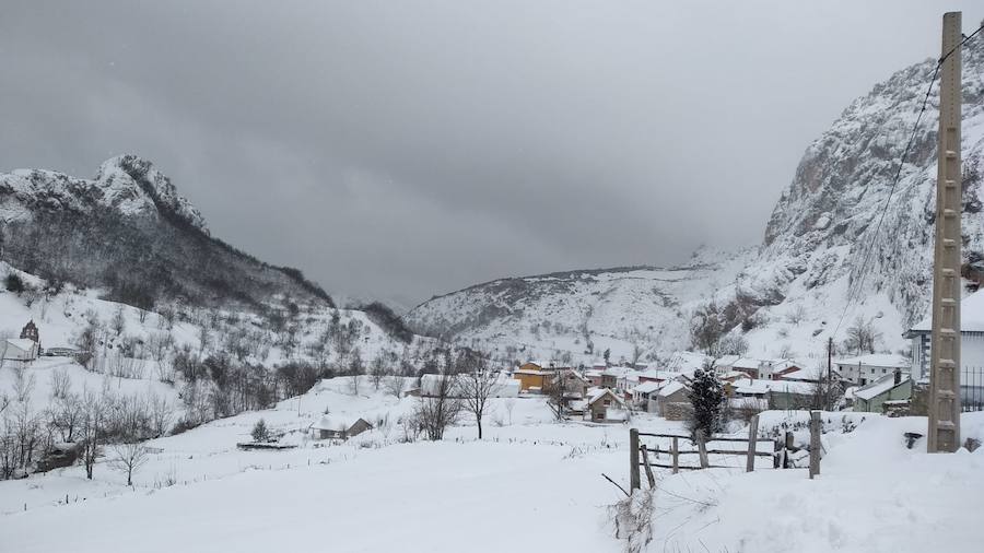 Las intensas nevadas que está dejando la borrasca 'Helena' a su paso por Asturias está complicando mucho la circulación por carretera, en especial, en los puertos de montaña. De hecho, se ha llegado a restringir el paso de camiones por Pajares y el Huerna y varios altos se han cerrado a todo tipo de vehículos. La nieve ha llegado incluso a la capital asturiana, que ha amanecido bajo un manto blanco. En otros puntos de la región, como Gijón, ha sido el granizo lo que ha cubierto de blanco las calles.