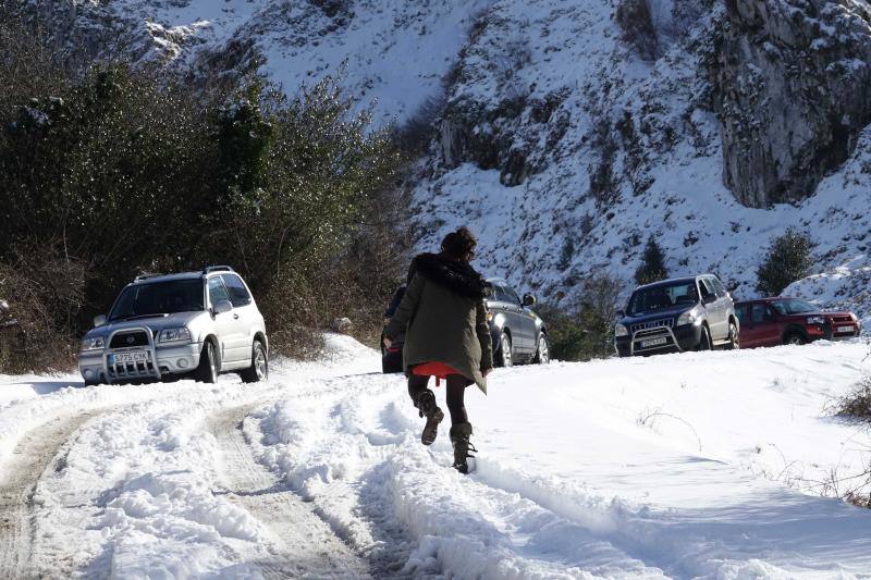 Las intensas nevadas han permitido incluso a algunos disfrutar de la nieve con sus esquís.