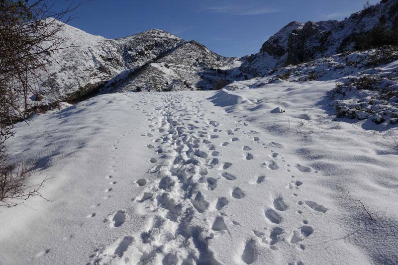 Las intensas nevadas han permitido incluso a algunos disfrutar de la nieve con sus esquís.