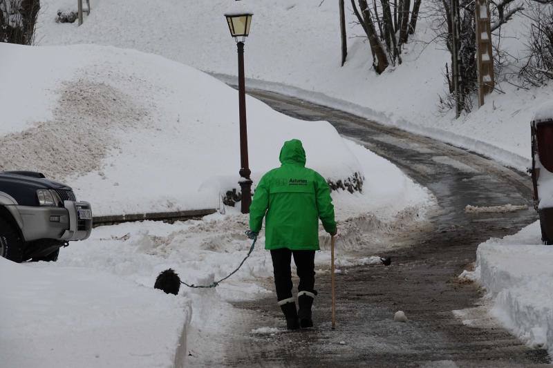 Las intensas nevadas que está dejando la borrasca 'Helena' a su paso por Asturias está complicando mucho la circulación por carretera, en especial, en los puertos de montaña. De hecho, se ha llegado a restringir el paso de camiones por Pajares y el Huerna y varios altos se han cerrado a todo tipo de vehículos. La nieve ha llegado incluso a la capital asturiana, que ha amanecido bajo un manto blanco. En otros puntos de la región, como Gijón, ha sido el granizo lo que ha cubierto de blanco las calles.