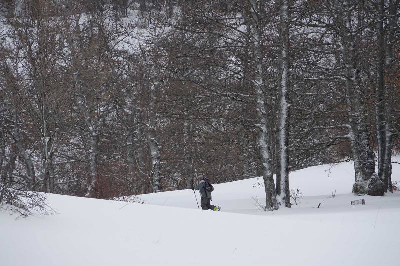 Las intensas nevadas que está dejando la borrasca 'Helena' a su paso por Asturias está complicando mucho la circulación por carretera, en especial, en los puertos de montaña. De hecho, se ha llegado a restringir el paso de camiones por Pajares y el Huerna y varios altos se han cerrado a todo tipo de vehículos. La nieve ha llegado incluso a la capital asturiana, que ha amanecido bajo un manto blanco. En otros puntos de la región, como Gijón, ha sido el granizo lo que ha cubierto de blanco las calles.