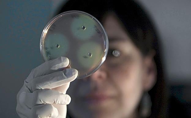 Una investigadora trabajando en el A&B Laboratorios de Biotecnología, en Vitoria.