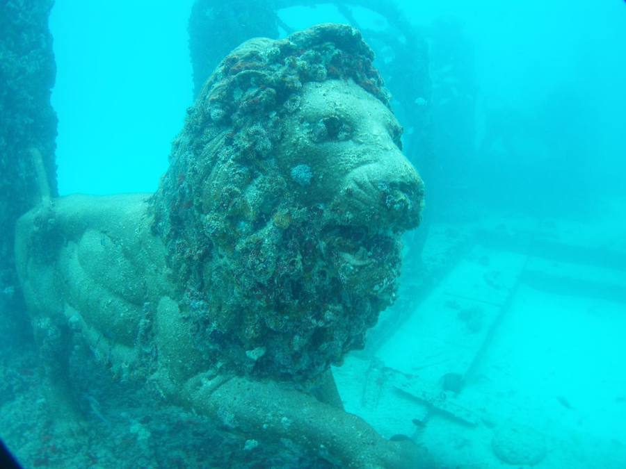 Neptune Memorial Reef (Florida) 