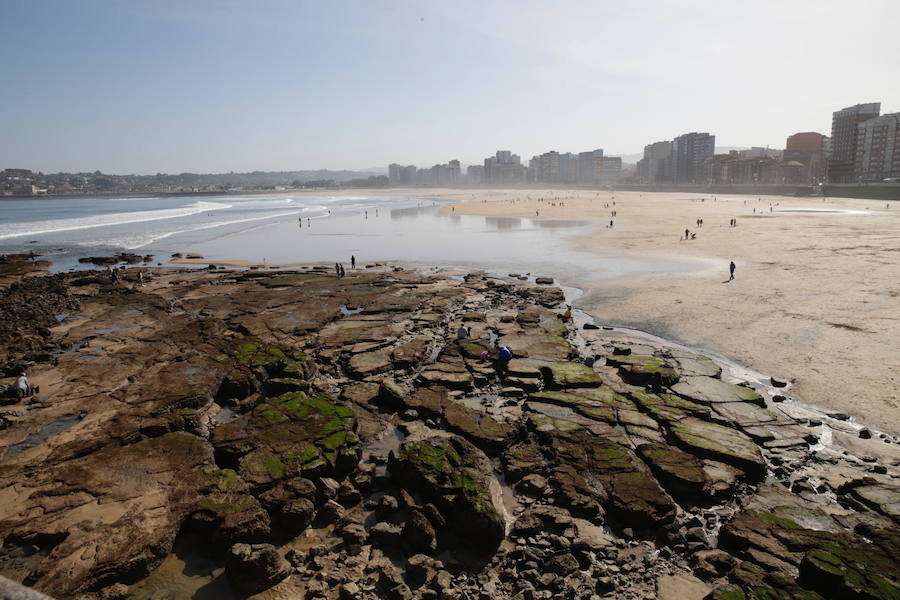 Decenas de personas se animaron a pasear por la Playa de San Lorenzo, bajo el sol y por la gran extensión de arena que dejó la bajamar