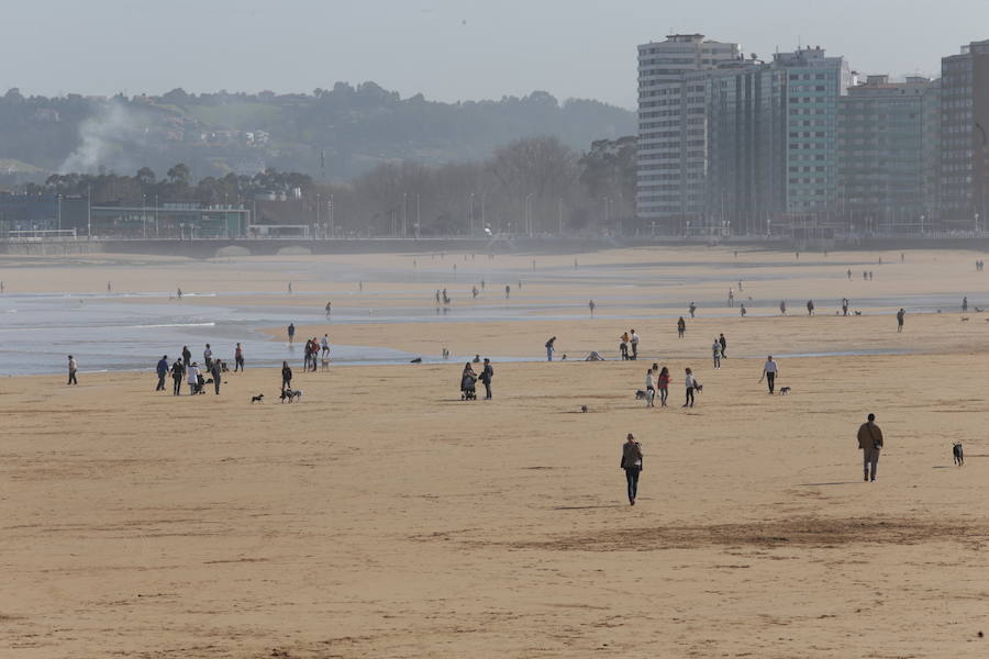 Decenas de personas se animaron a pasear por la Playa de San Lorenzo, bajo el sol y por la gran extensión de arena que dejó la bajamar