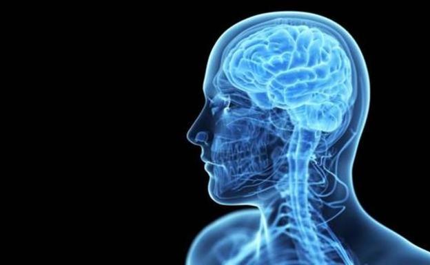 Logran definir las vías genéticas alteradas en casos de parkinson