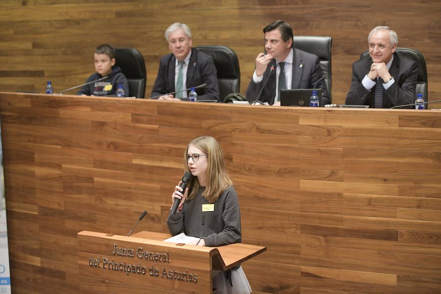 Sesenta alumnos Educación Infantil y Primaria de los colegios Lorenzo Novo Mier y Veneranda Manzano de Oviedo han participado en un Pleno en la Junta General en el que han reflexionado sobre la igualdad. La iniciativa forma parte del programa 'Abraza tus valores' de Aldeas Infantiles SOS.