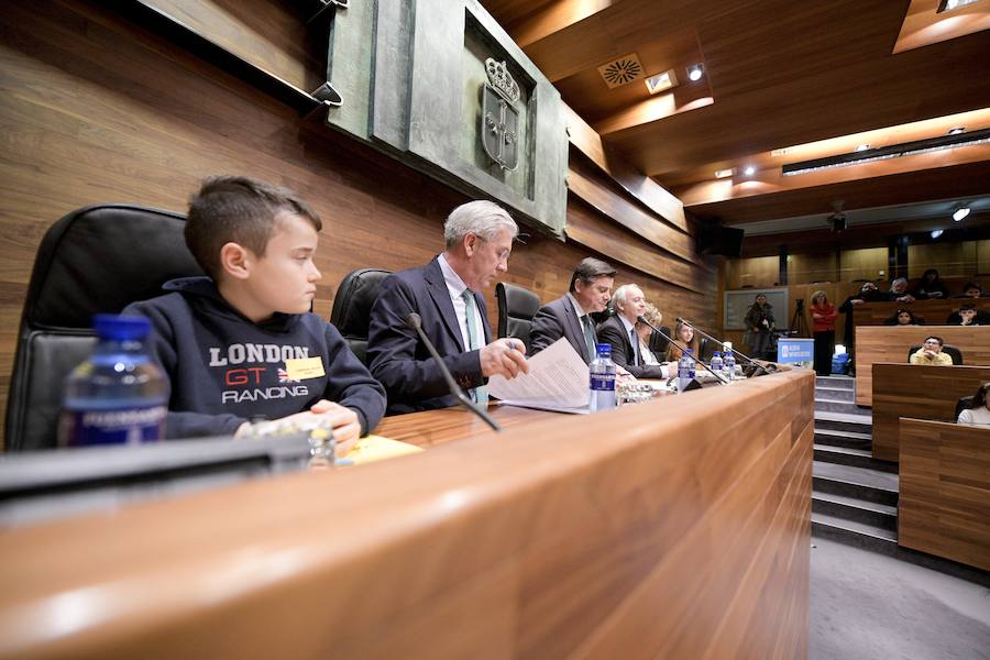 Sesenta alumnos Educación Infantil y Primaria de los colegios Lorenzo Novo Mier y Veneranda Manzano de Oviedo han participado en un Pleno en la Junta General en el que han reflexionado sobre la igualdad. La iniciativa forma parte del programa 'Abraza tus valores' de Aldeas Infantiles SOS.