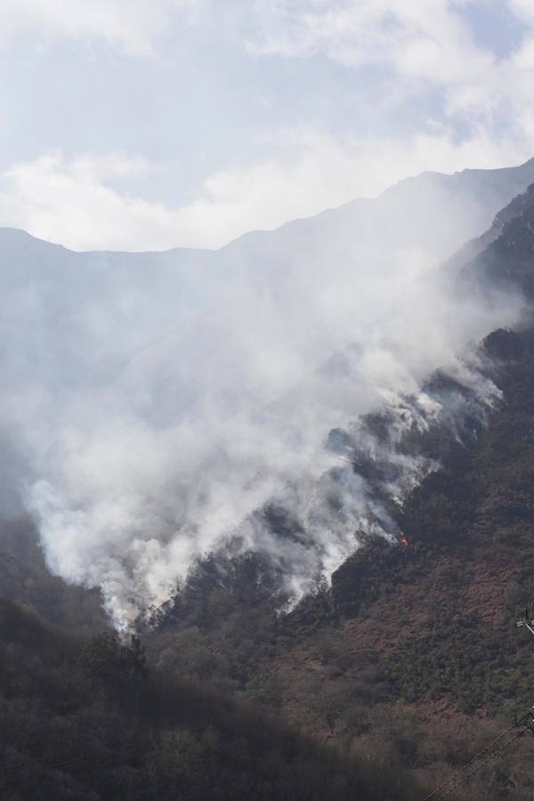 Fotos: Las imágenes que deja el fuego en Soto de los Infantes, en Salas