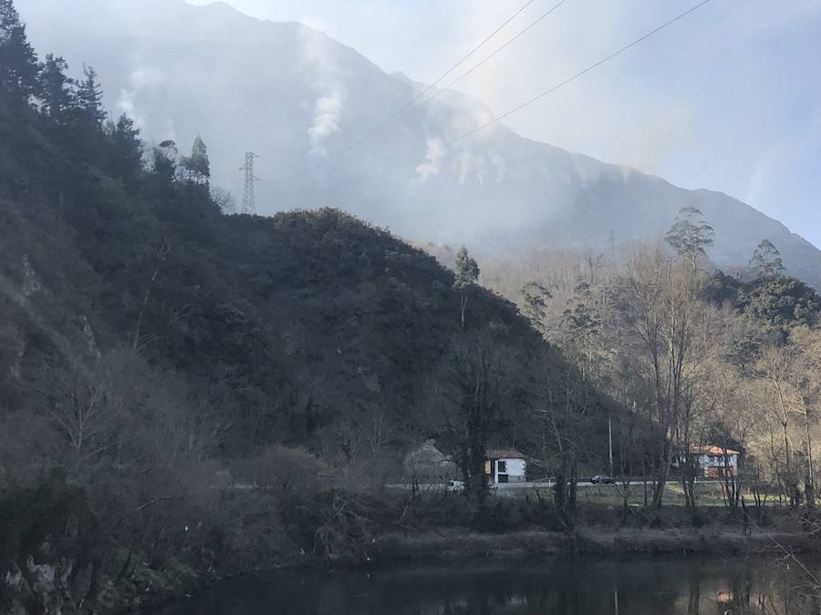 Fotos: Los incendios azotan el oriente asturiano