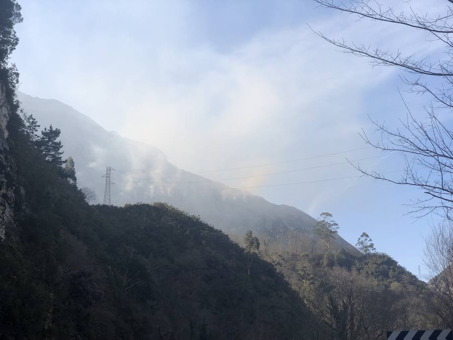 Fotos: Los incendios azotan el oriente asturiano