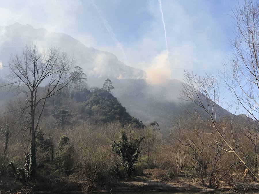 Fotos: Los incendios azotan el oriente asturiano