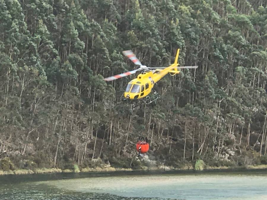 Fotos: Los incendios azotan el oriente asturiano