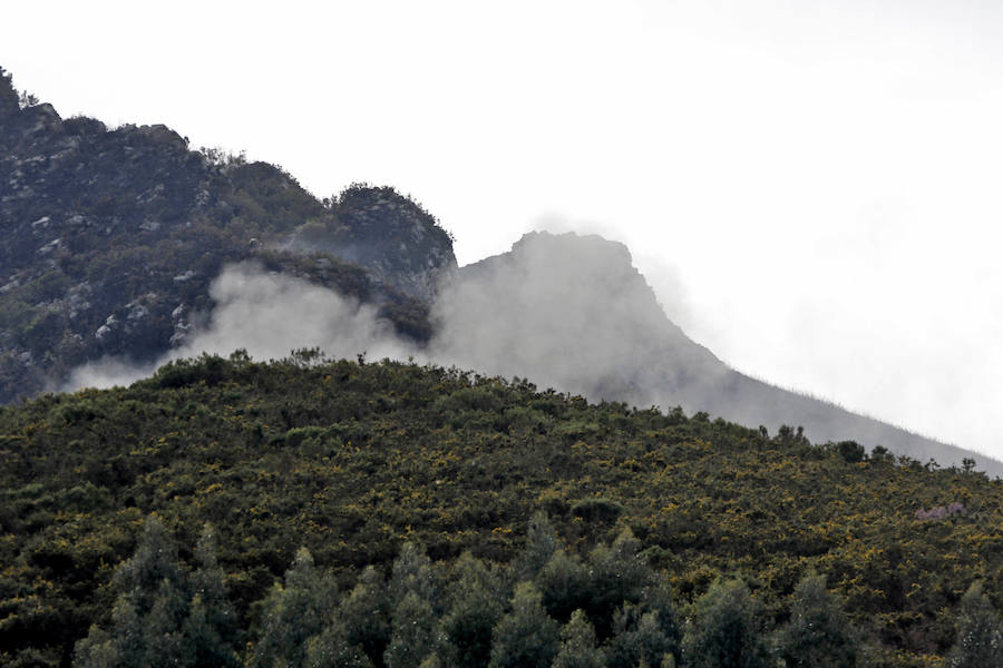 Salas ha sido el concejo que más ha sufrido las consecuencias de unos incendios cuya labor de extinción se complicaba debido al viento.