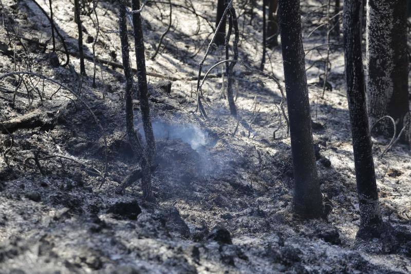 Un helicóptero del SEPA localizó a un incendiario quemando varios puntos del monte del concejo.