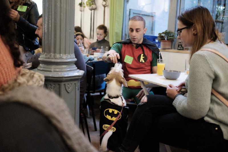 Green Zone acogió un desfile en el que las mascotas lucieron sus propios disfraces de antroxu