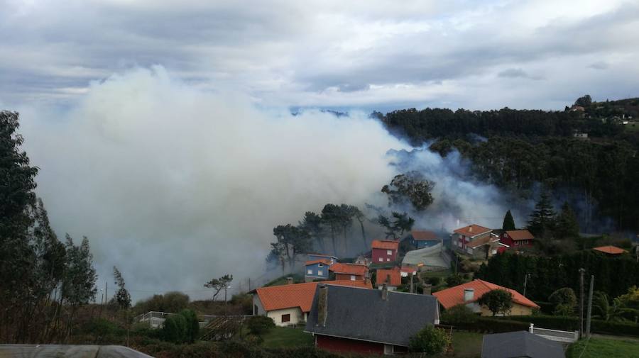 El fuego afectó a la zona de la playa de Concha Artedo y provocó que vecinos de una urbanización cercana se quedasen sin luz.