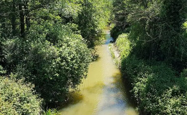 El Ayuntamiento de Gijón, condenado a pagar 4.600 euros por vertidos al río Pinzales