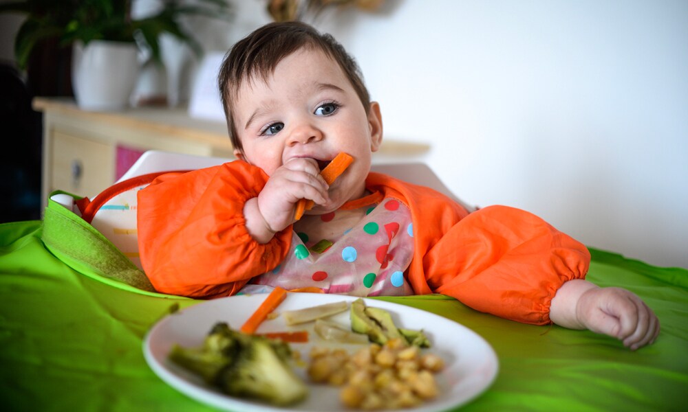 ¿QUÉ ES?: Se trata de un método de alimentación por el que los niños empiezan a comer sólidos a los seis meses, aunque no tengan dientes todavía. Hasta esa fecha la alimentación debe ser exclusivamente leche materna o artificial y a partir del medio año es cuando se introduce la llamada 'alimentación complementaria', en este caso alimentos sin triturar.