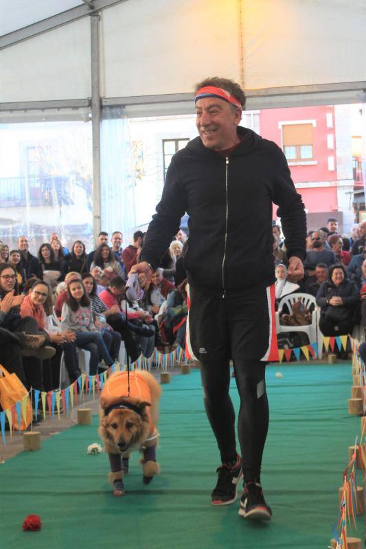 Los animales protagonizaron su propio concurso de disfraces y tuvieron su minuto de gloria en el desfile de la tarde del sábado.