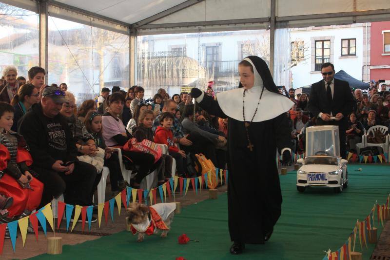 Los animales protagonizaron su propio concurso de disfraces y tuvieron su minuto de gloria en el desfile de la tarde del sábado.