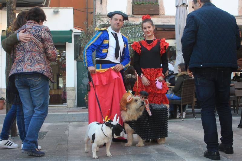 Los animales protagonizaron su propio concurso de disfraces y tuvieron su minuto de gloria en el desfile de la tarde del sábado.