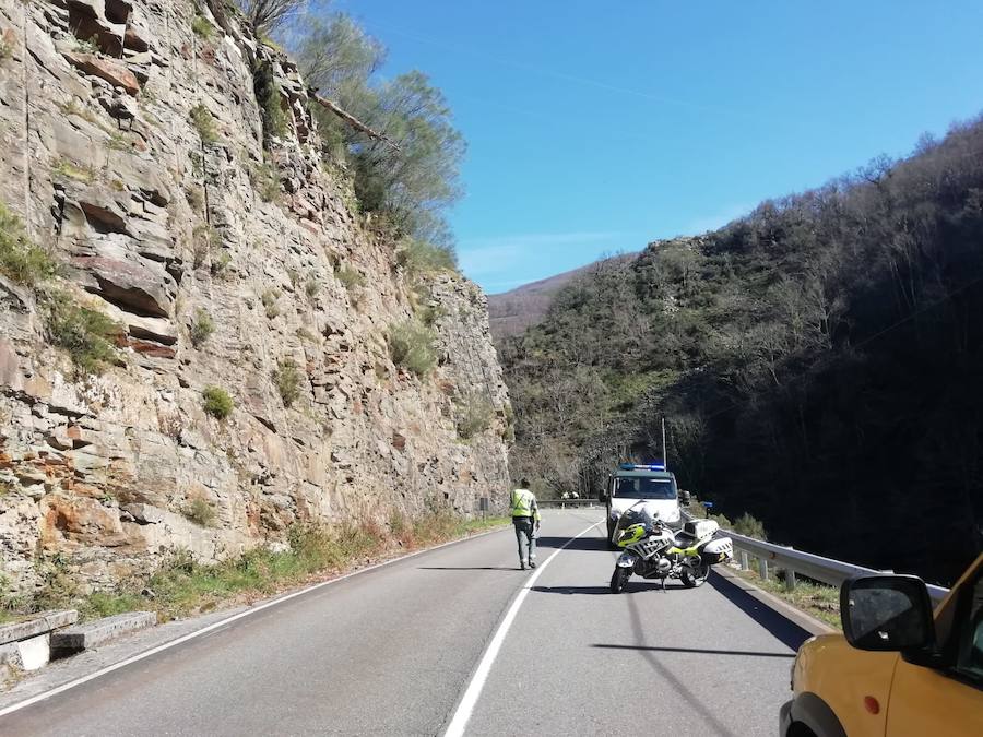 Un motorista de 44 años ha perdido la vida en un accidente ocurrido en la carretera AS-29, en el acceso al puerto del Pozo de las Mujeres Muertas, entre Cangas del Narcea e Ibias.