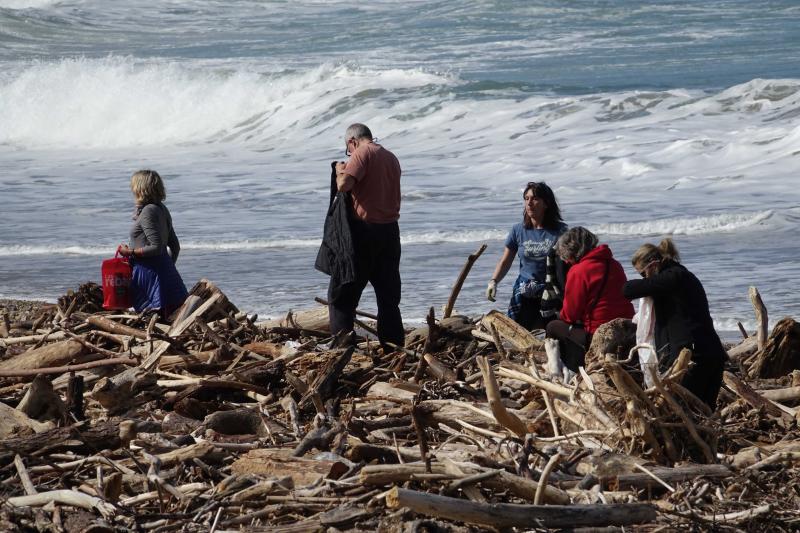 Más de 150 personas han respondido a la convocatoria de Greenpeace Asturias para limpiar de plásticos la playa riosellana de Santa Marina. Tras dos horas de trabajo lograron retirar casi dos toneladas de residuos.