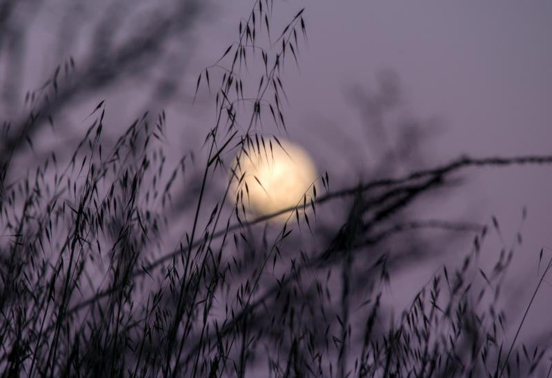 La superluna que anuncia la primavera brilló en la noche del miércoles sobre la ciudad de Ourense.