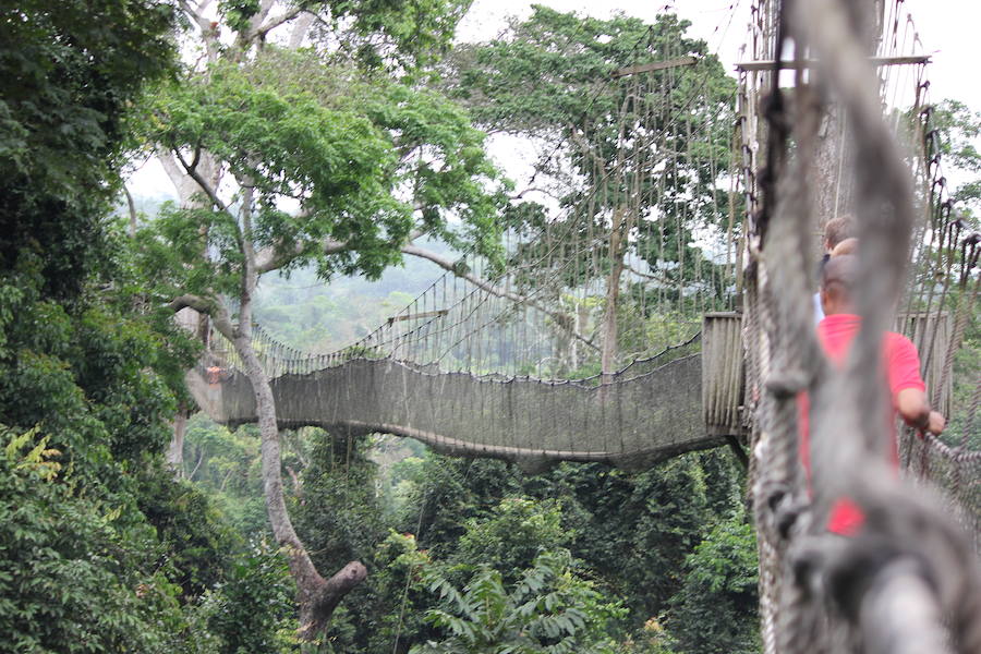 Puente colgante del Parque Nacional de Kakum (Ghana)