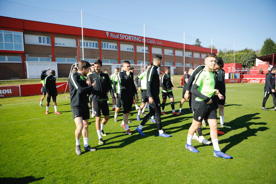 Los rojiblancos apuran la preparación horas antes del esperado derbi ante el Real Oviedo