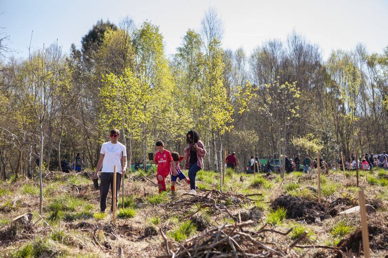 Multitud de niños y padres plantaron árboles en el bosque La Viesca la Olla durante una divertida mañana en conexión con la naturaleza.