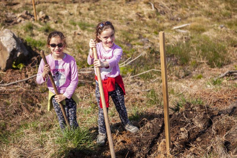 Multitud de niños y padres plantaron árboles en el bosque La Viesca la Olla durante una divertida mañana en conexión con la naturaleza.