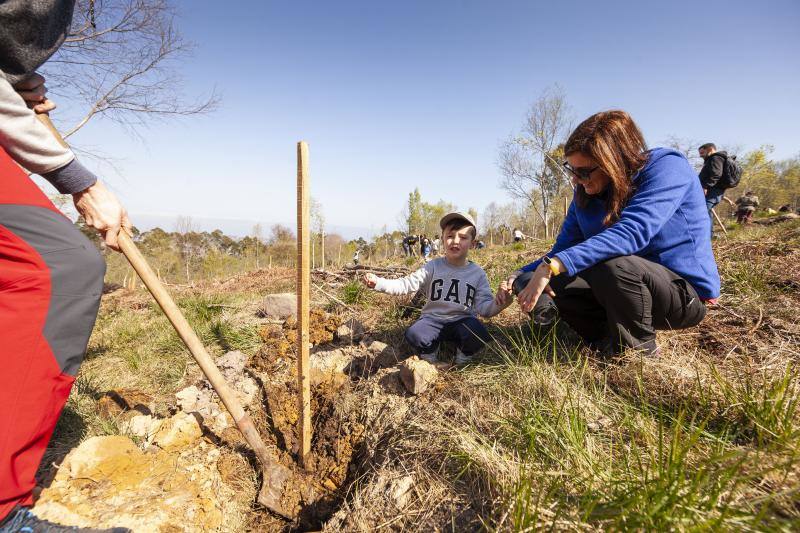 Multitud de niños y padres plantaron árboles en el bosque La Viesca la Olla durante una divertida mañana en conexión con la naturaleza.