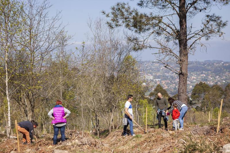 Multitud de niños y padres plantaron árboles en el bosque La Viesca la Olla durante una divertida mañana en conexión con la naturaleza.