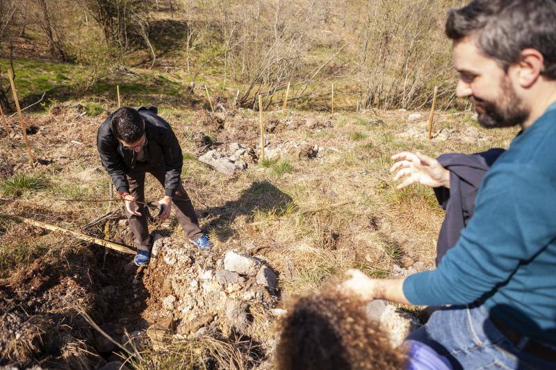 Multitud de niños y padres plantaron árboles en el bosque La Viesca la Olla durante una divertida mañana en conexión con la naturaleza.