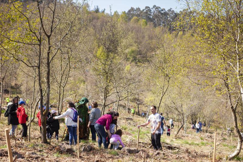 Multitud de niños y padres plantaron árboles en el bosque La Viesca la Olla durante una divertida mañana en conexión con la naturaleza.