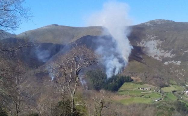 Incendio forestal en Tineo.