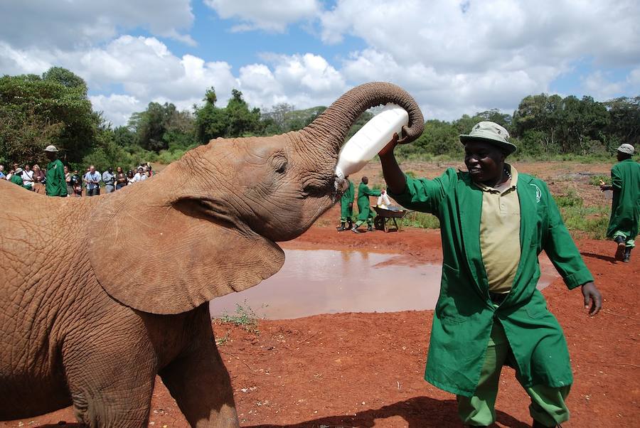 Nairobi (Kenia), 85 euros por día.