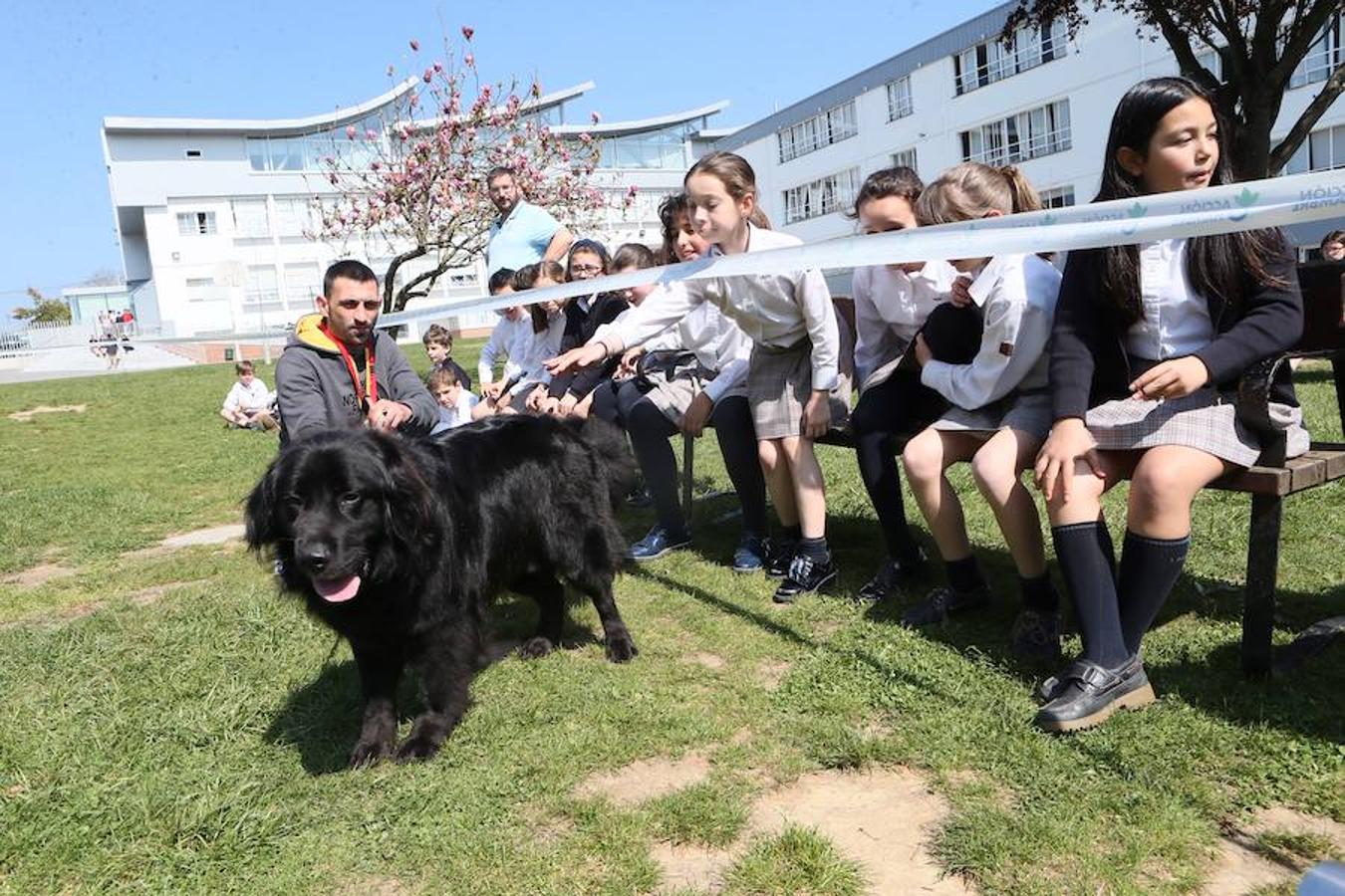 Los escolares del Palacio de Granda comparten experiencias con los perros. La importancia de darles otra oportunidad y estar con ellos en todo momento.