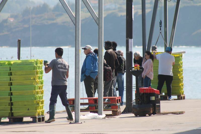 Cantabria amenaza con movilizarse para evitar un nuevo reparto de las cuotas. El puerto de Lastres presentaba mucha actividad este lunes, donde además de los barcos propios del puerto se han podido ver tambien lanchas de las comunidades vecinas de Cantabria y Galicia.