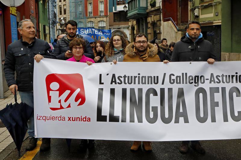 No pudo ser una cita «histórica», como esperaba la Xunta pola Defensa de la Llingua y la lluvia, «tan asturiana y tan primaveral», que llegó a caer a mares, fue la culpable de reducir la cifra de asistentes hasta las 2.000 personas.