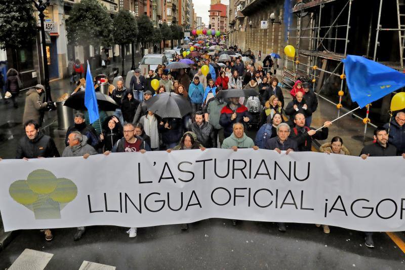 No pudo ser una cita «histórica», como esperaba la Xunta pola Defensa de la Llingua y la lluvia, «tan asturiana y tan primaveral», que llegó a caer a mares, fue la culpable de reducir la cifra de asistentes hasta las 2.000 personas.