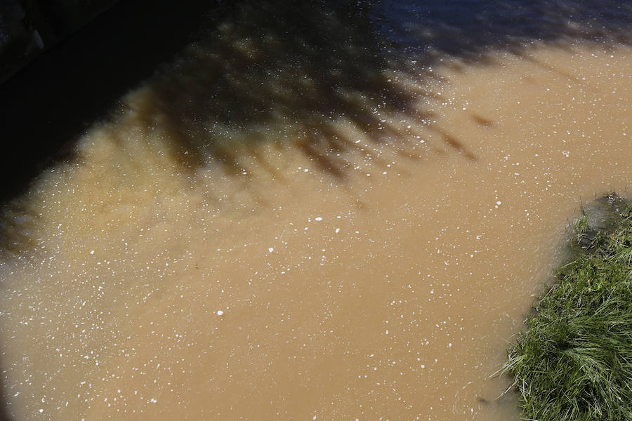 Las últimas lluvias han convertido el río Piles en una espectacular corriente de agua marrón que ha llamado la atención de muchos vecinos.