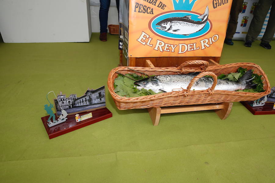 El afortunado pescador que lo echó a tierra, a cebo natural, fue el ovetense Fernando López Castro