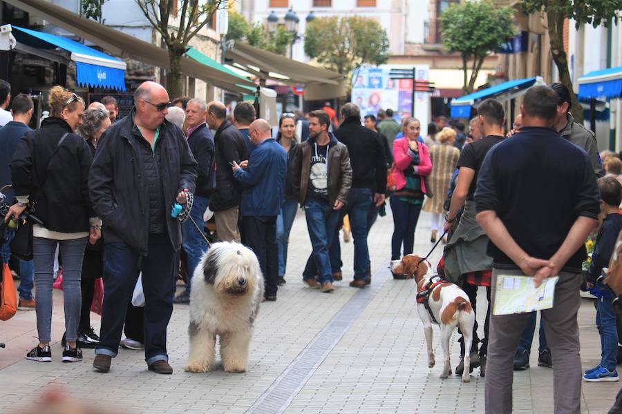 El Principado tuvo un tiempo de lo más agradable durante la jornada del Viernes Santo. Puntos de gran afluencia turística, como Gijón o Los Lagos de Covadonga se llenaron de visitantes