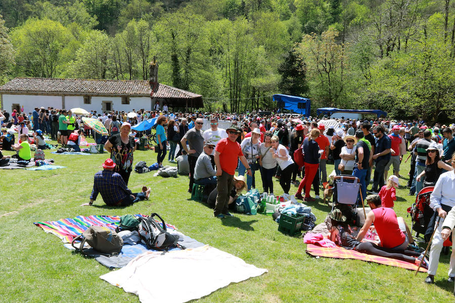 Centenares de romeros se han dado cita en el prau de las fiestas de La Flor de Pola de Lena. El sol ha animado una cita en la que ha habido misa y procesión, comida típica y música y baile tradicional. 