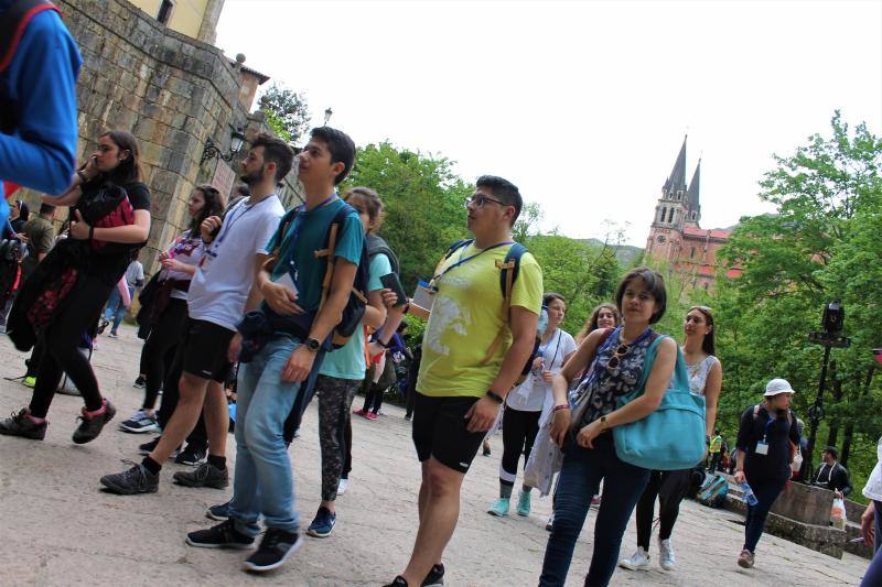 La marcha anual al Real Sitio se consagra este año a los seminaristas mártires de Oviedo.